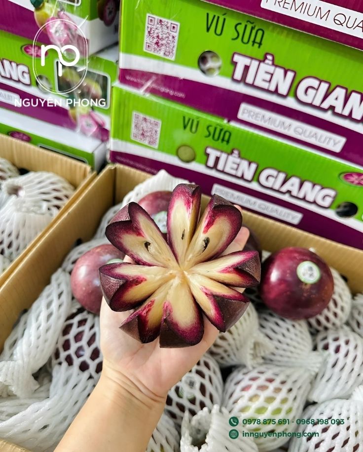 Mẫu thùng carton đựng vú sữa in sắc nét